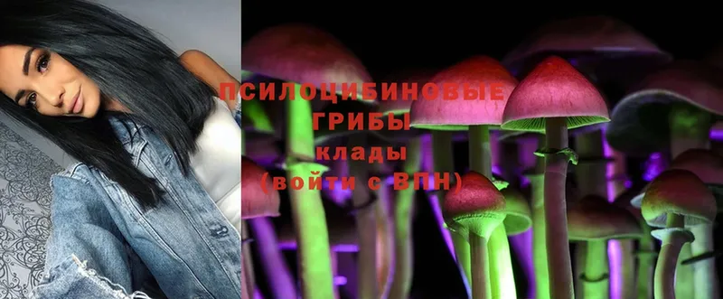 Галлюциногенные грибы Magic Shrooms  Всеволожск 